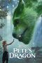 Pete's Dragon (2016) Pete's Dragon (2016)